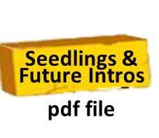 Seedlings & Future Introductions